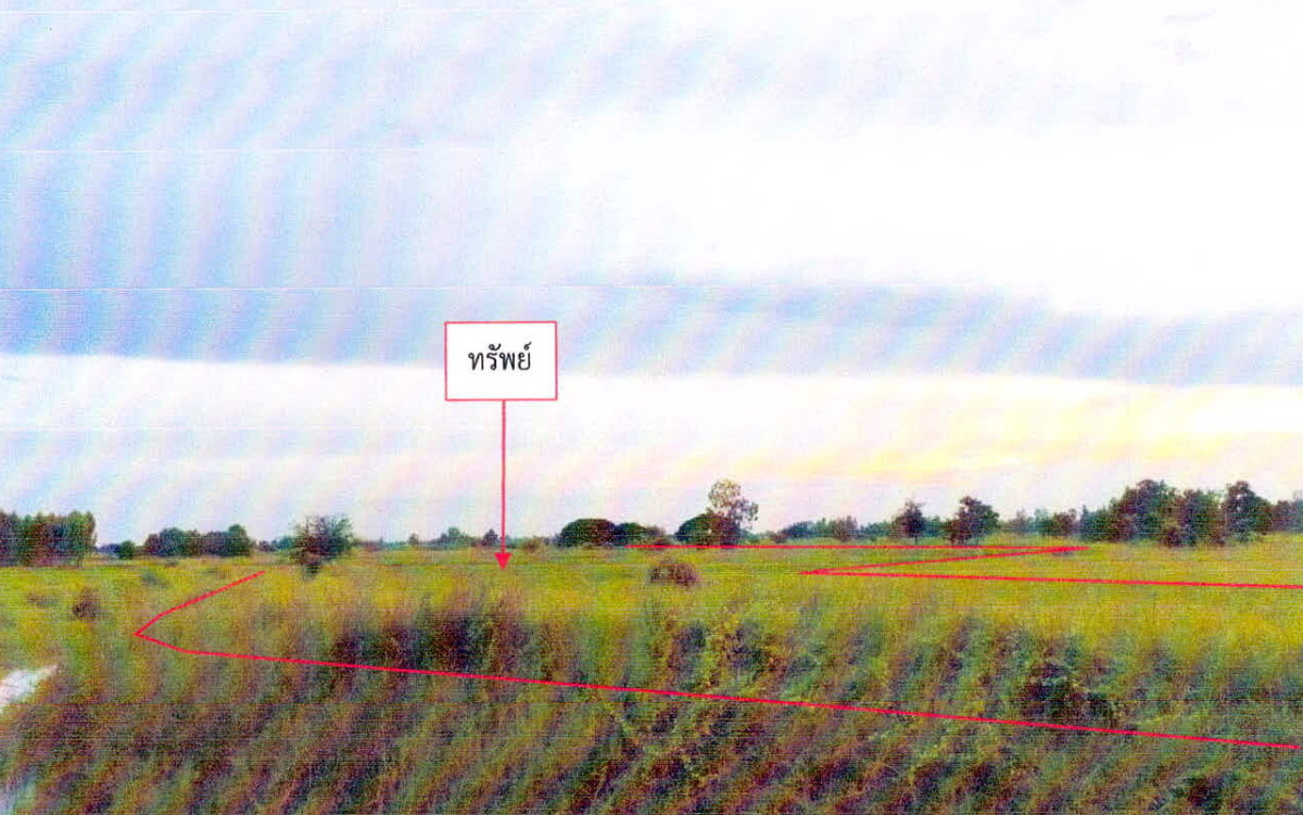 Residential land/lot Chaiyaphum Khon Sawan Non Sa-At 1384871