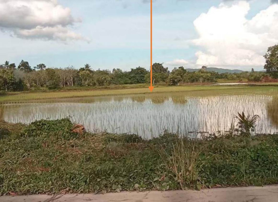 Residential land/lot Pattani Mayo Trang 83720