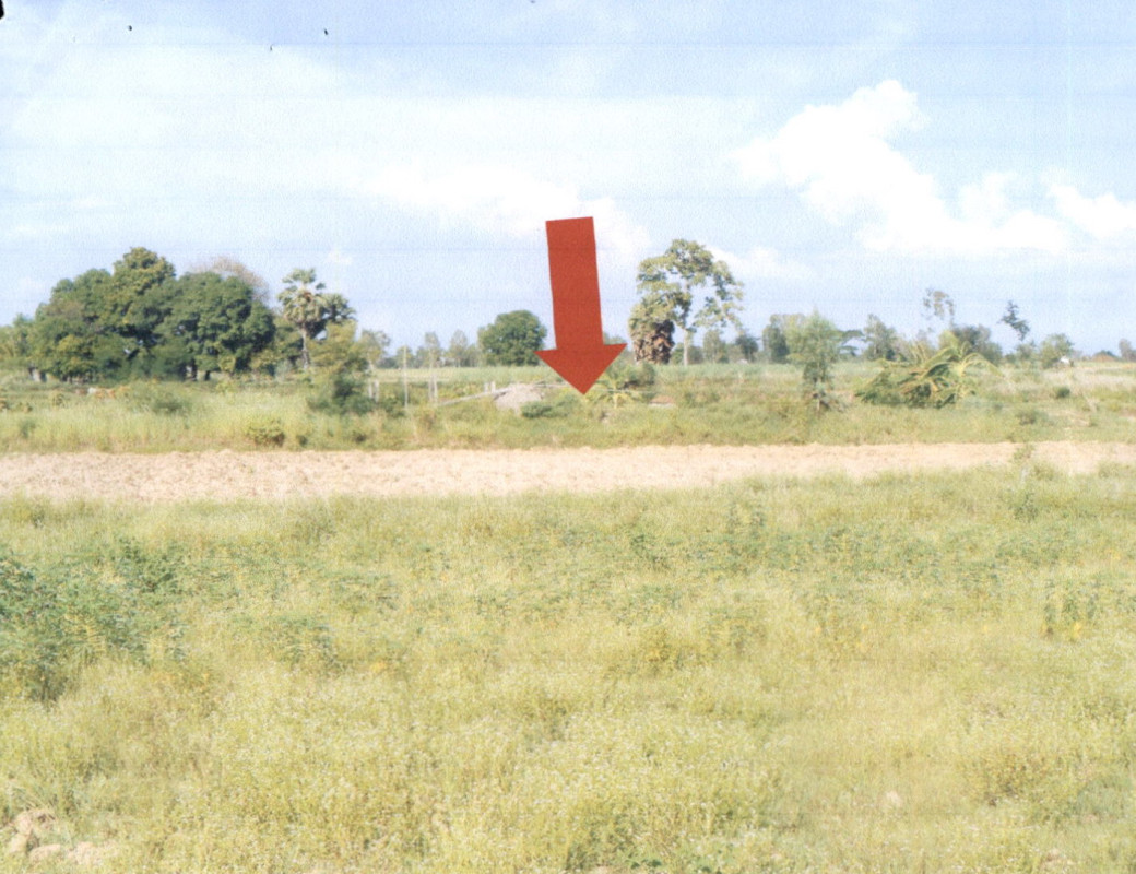 Residential land/lot Kalasin Somdet Nong Waeng 157050