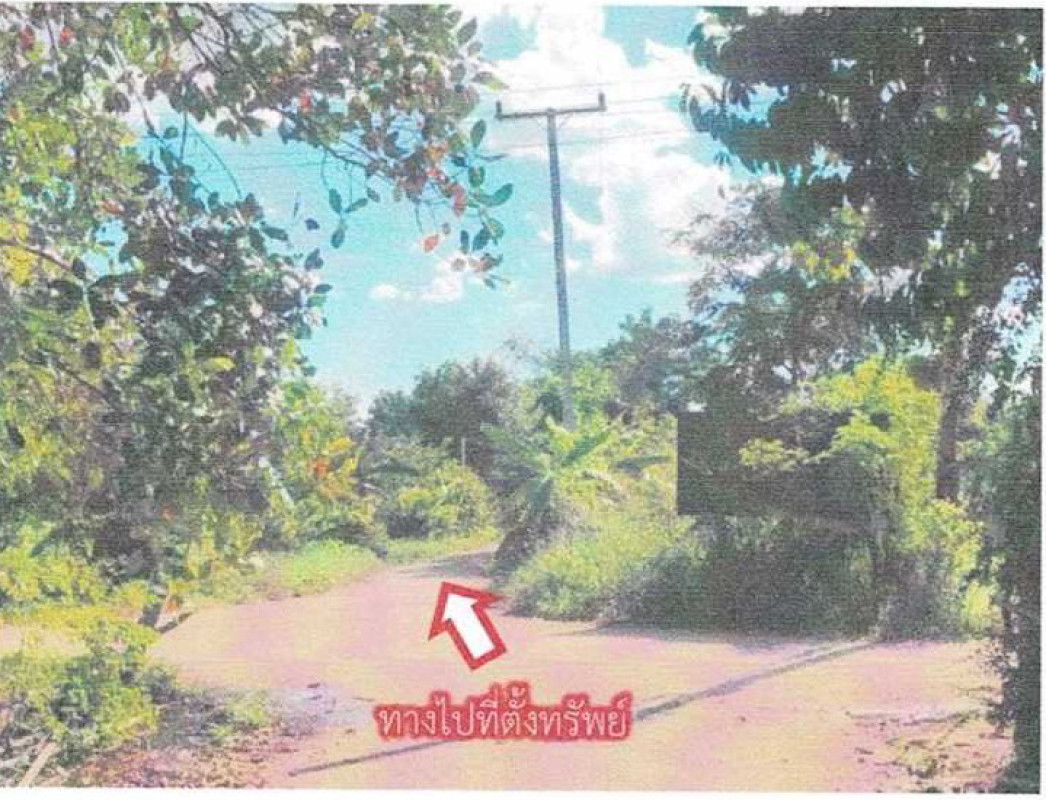 ที่ดินเปล่า หนองบัวลำภู โนนสัง นิคมพัฒนา 185000