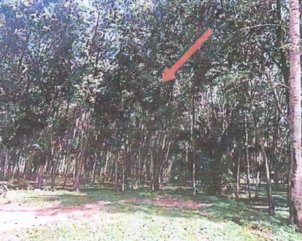 Residential land/lot Prachuap Khiri Khan Bang Saphan Noi Sai Thong 508990