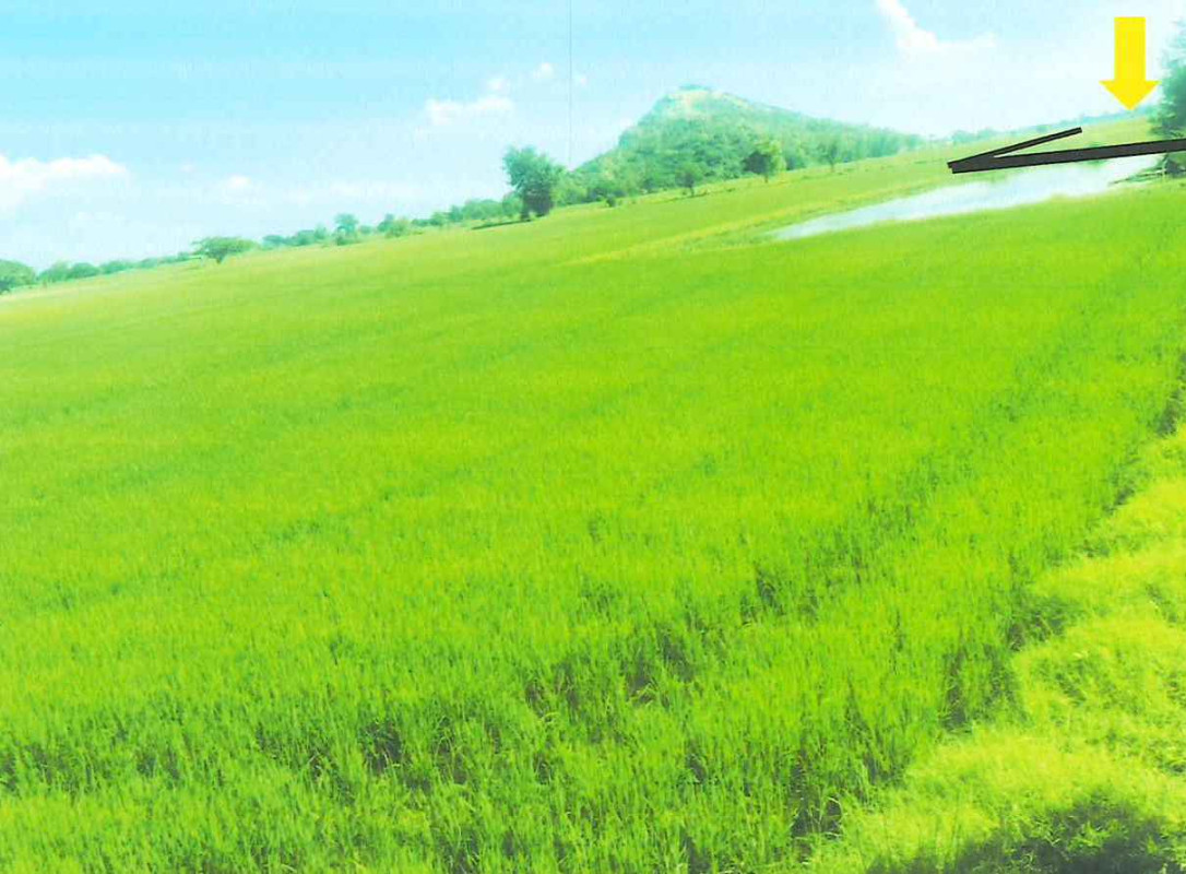 Residential land/lot Chai Nat Sapphaya Sapphaya 90675