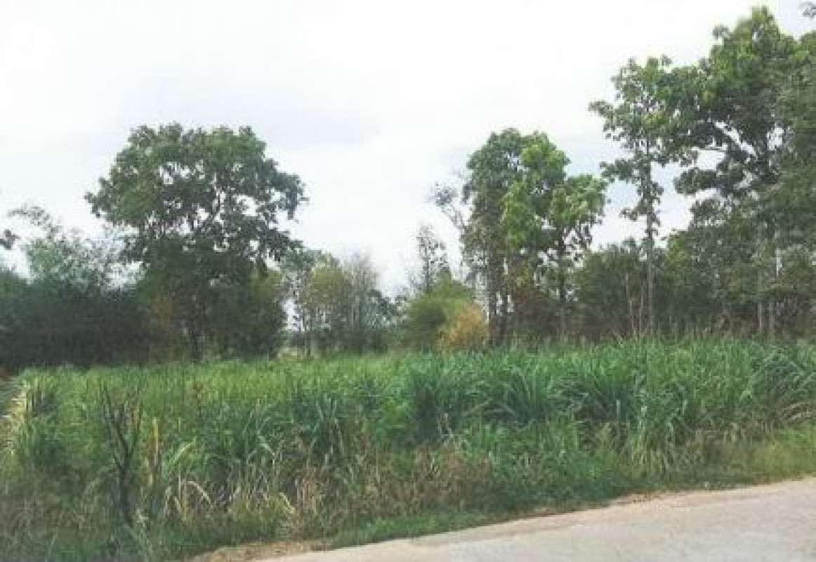 Residential land/lot Kalasin Tha Khantho Na Tan 146000