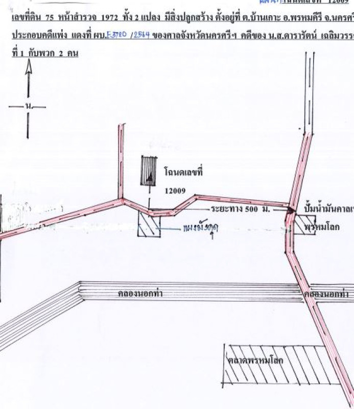 บ้านเดี่ยว นครศรีธรรมราช พรหมคีรี บ้านเกาะ 802860