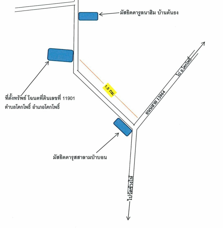 ที่ดินเปล่า ปัตตานี โคกโพธิ์ โคกโพธิ์ 1441440
