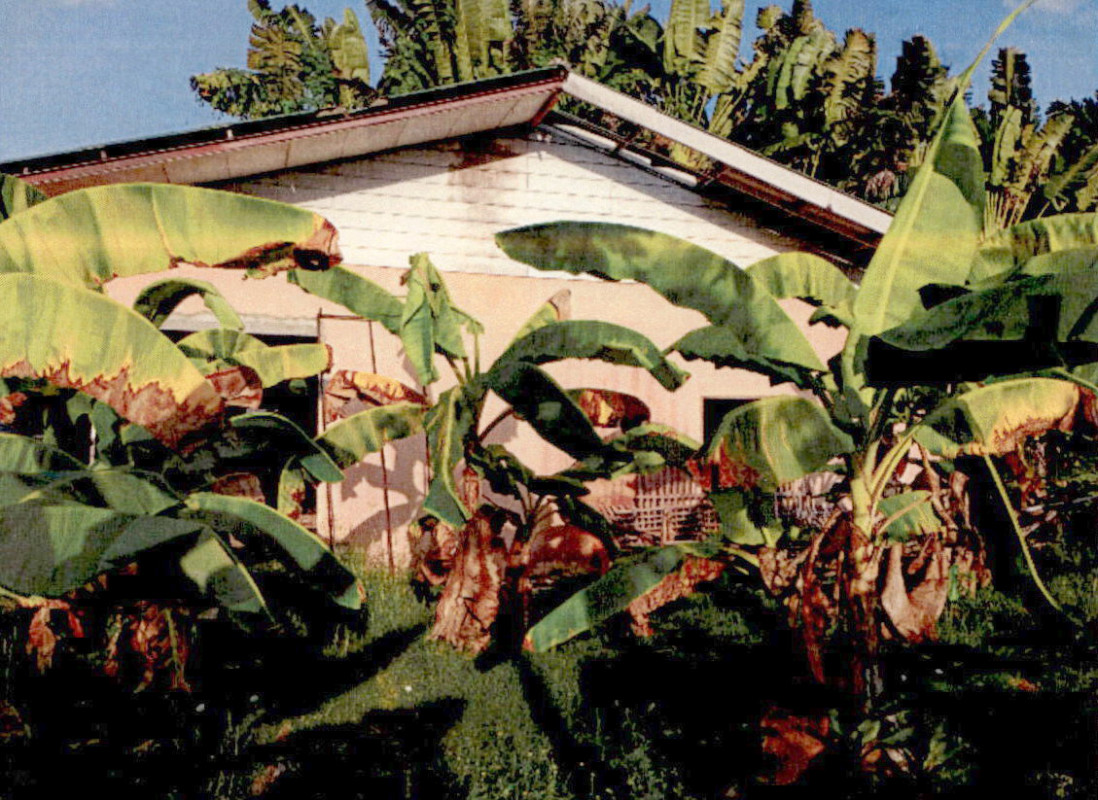 บ้านเดี่ยว ลำปาง เมืองลำปาง พิชัย 1673300