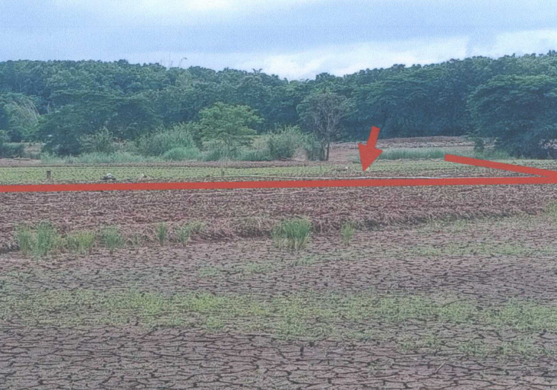 Residential land/lot Phayao Chiang Muan Sa 341640