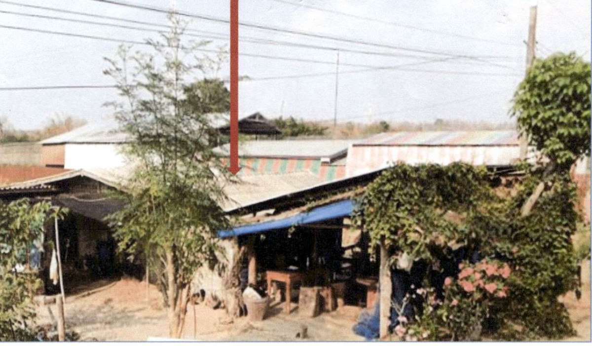 บ้านเดี่ยว ลำปาง งาว บ้านอ้อน 364528