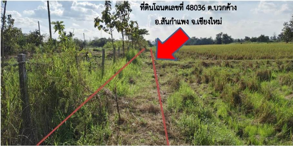 Residential land/lot Chiang Mai San Kamphaeng Buak Khang 92300