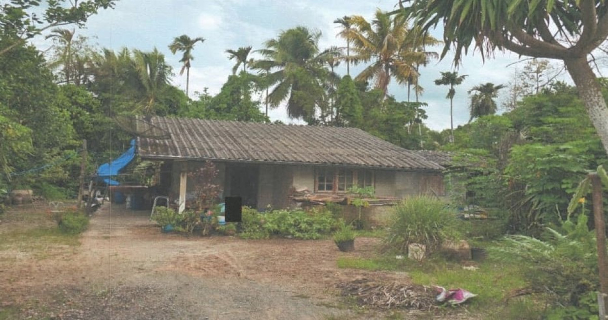 บ้านเดี่ยว สุราษฎร์ธานี พุนพิน ท่าสะท้อน 879700