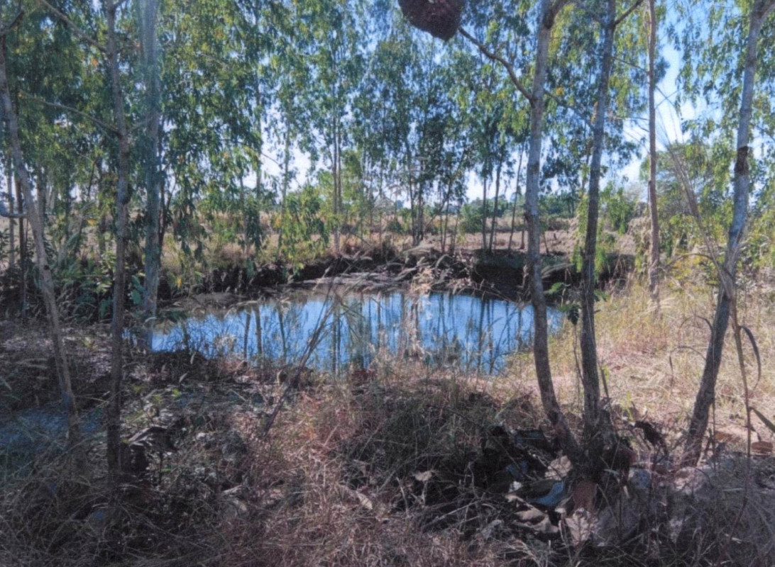Residential land/lot Sakon Nakhon Phang Khon Phang Khon 98000