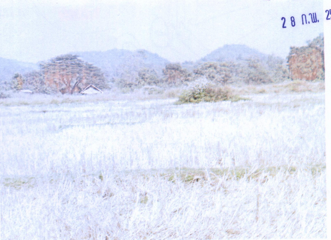 ที่ดินเปล่า ลำปาง เถิน ล้อมแรด 116900