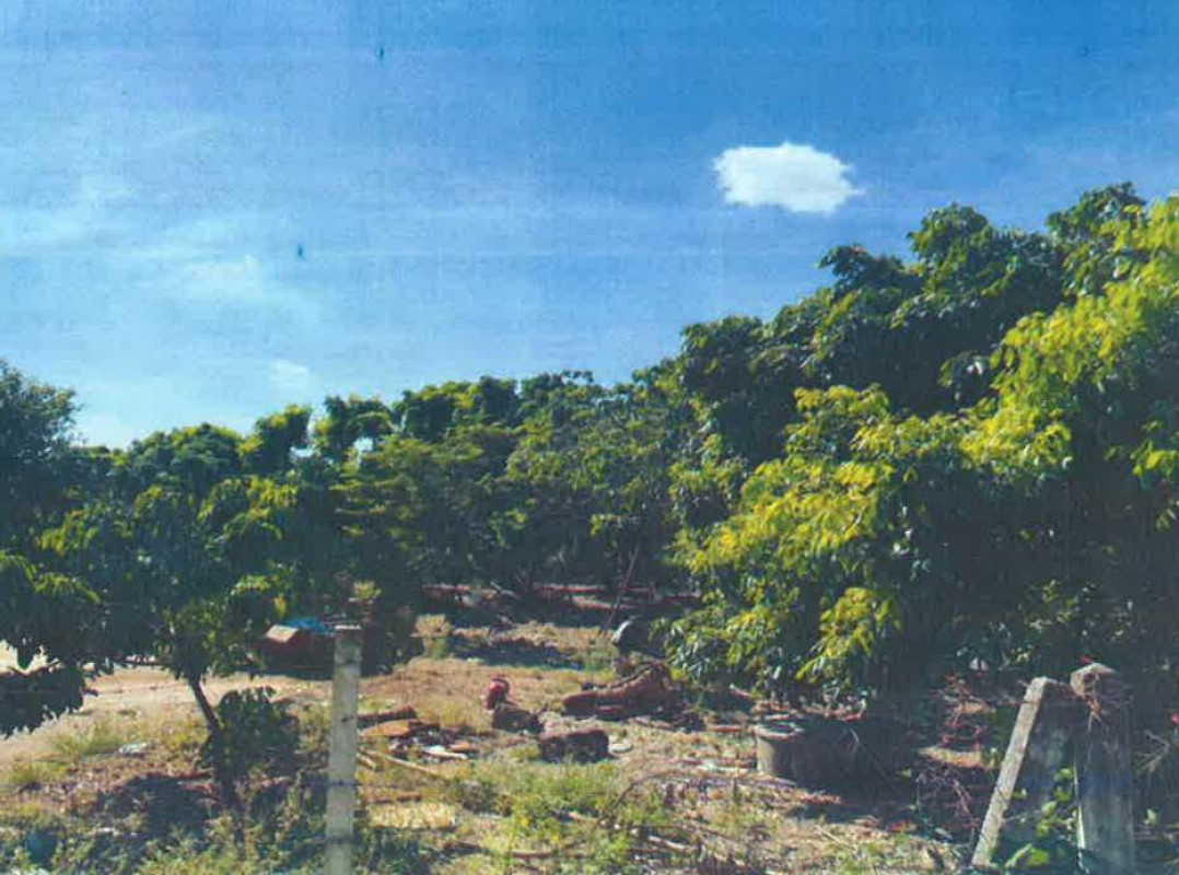 ที่ดินเปล่า เชียงใหม่ สันป่าตอง ทุ่งสะโตก 89250