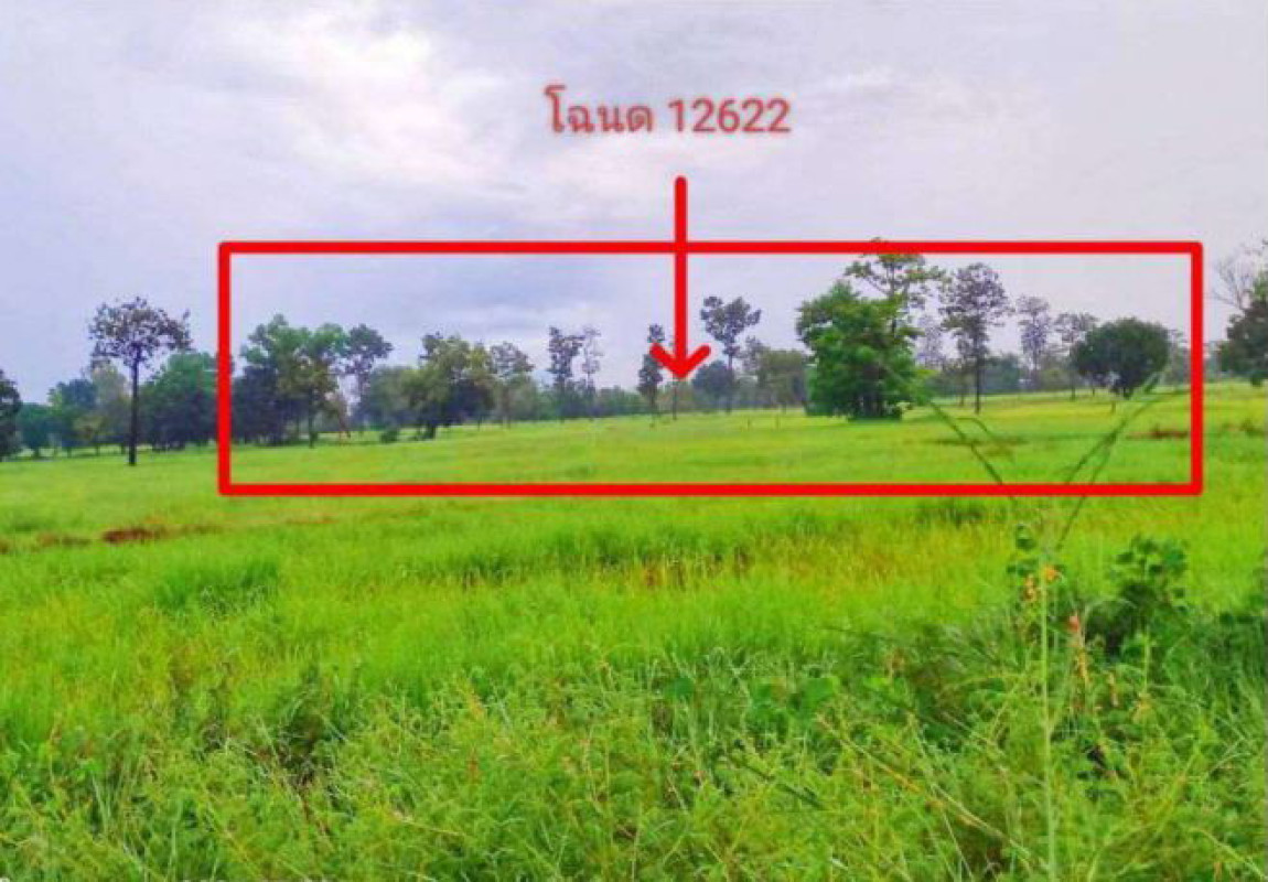 ที่ดินเปล่า อุบลราชธานี เดชอุดม นากระแซง 333750