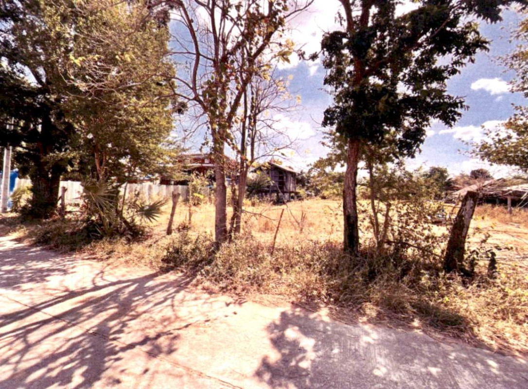 บ้านเดี่ยว นครราชสีมา บัวใหญ่ โนนทองหลาง 55650