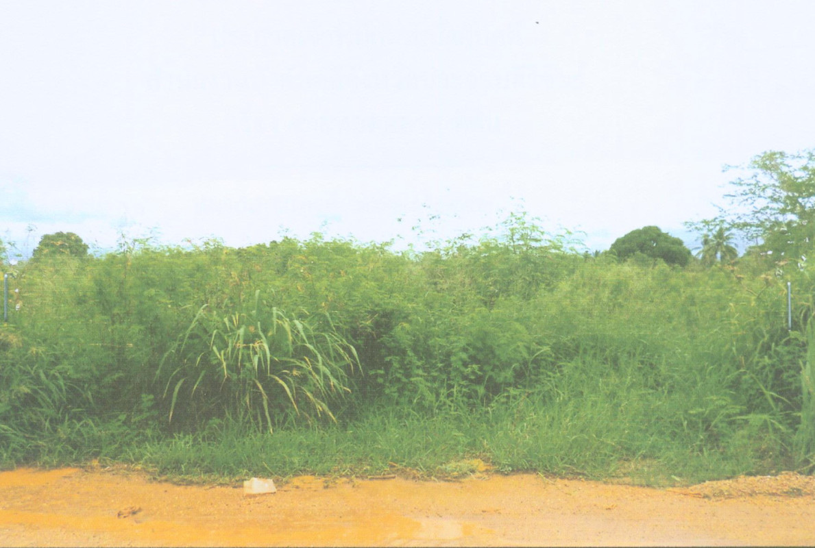 Residential land/lot Prachuap Khiri Khan Mueang Prachuap Khiri Khan Bo Nok 500400