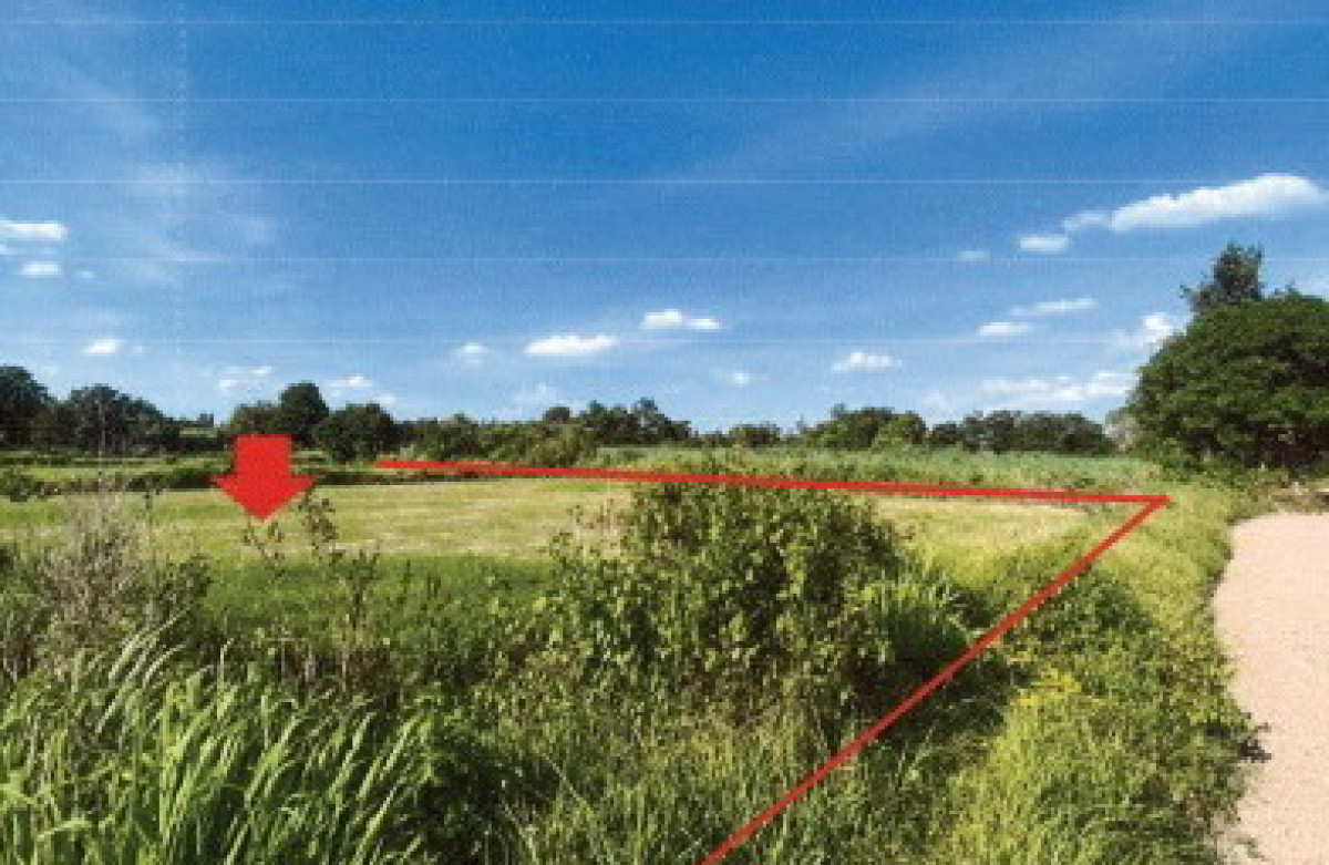 Residential land/lot Kalasin Rong Kham Samakkhi 348000