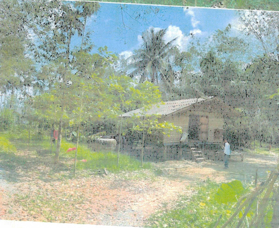 บ้านเดี่ยว นครศรีธรรมราช จุฬาภรณ์ ทุ่งโพธิ์ 842650