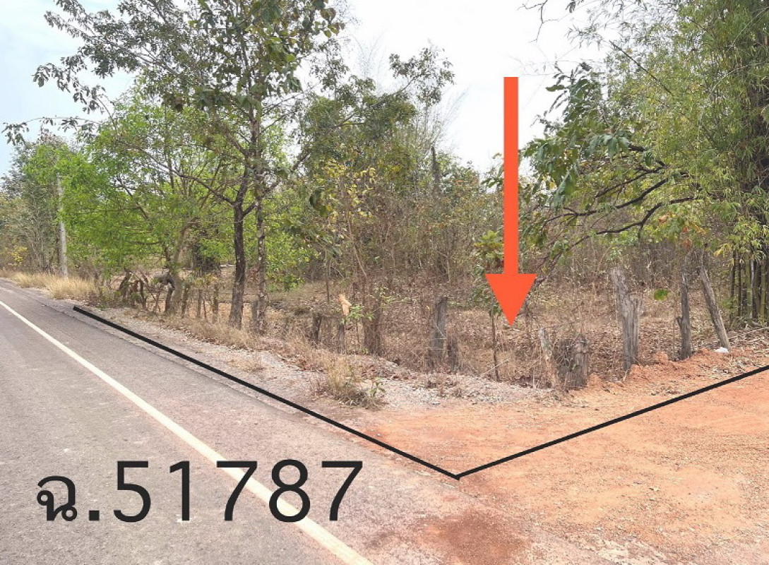 Residential land/lot Sakon Nakhon Phanna Nikhom Choeng Chum 157820