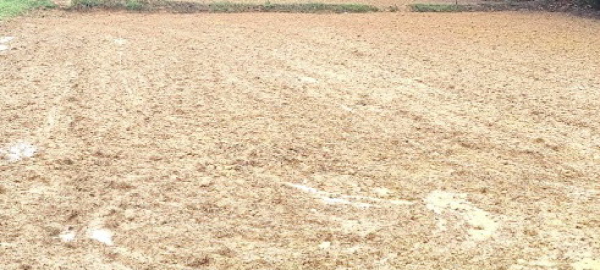 Residential land/lot Kalasin Nong Kung Si Nong Kung Si 160000