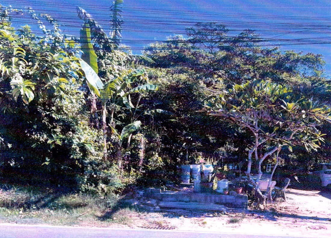 ที่ดินเปล่า ปัตตานี สายบุรี ตะลุบัน 2070200