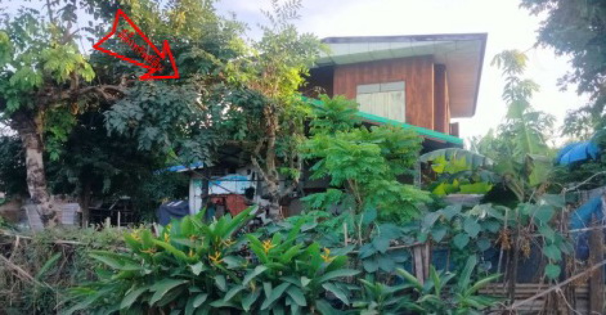 บ้านเดี่ยว กาฬสินธุ์ ยางตลาด ดอนสมบูรณ์ 1536600