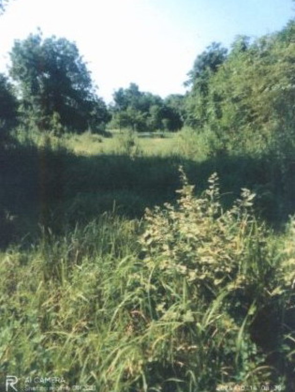 Residential land/lot Khon Kaen Chonnabot Ban Thaen 173030