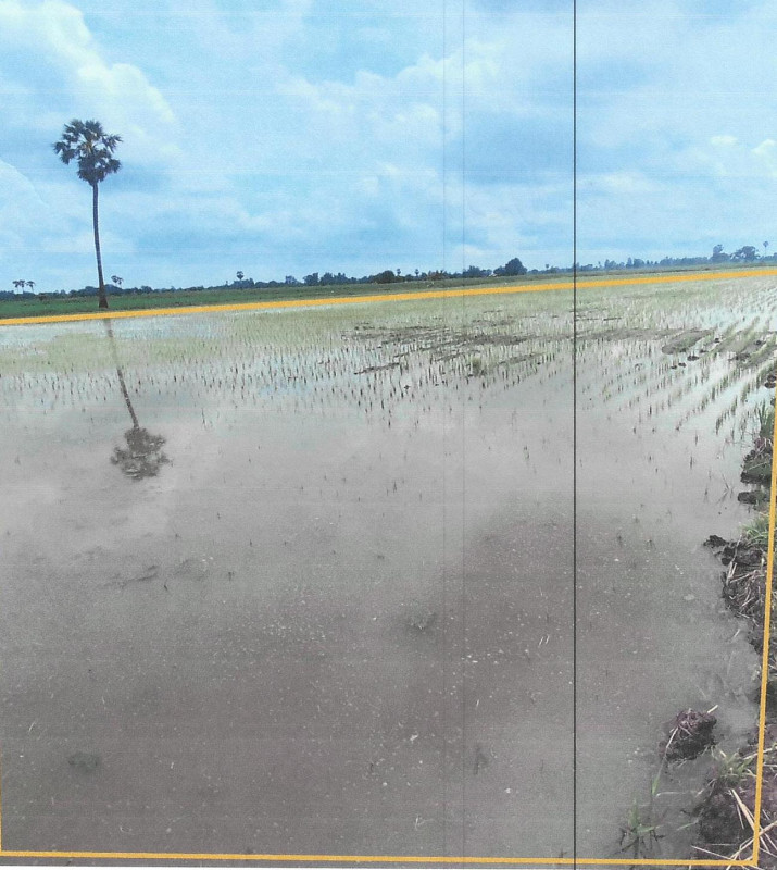 Residential land/lot Chai Nat Sankhaburi Phraek Si Racha 339120