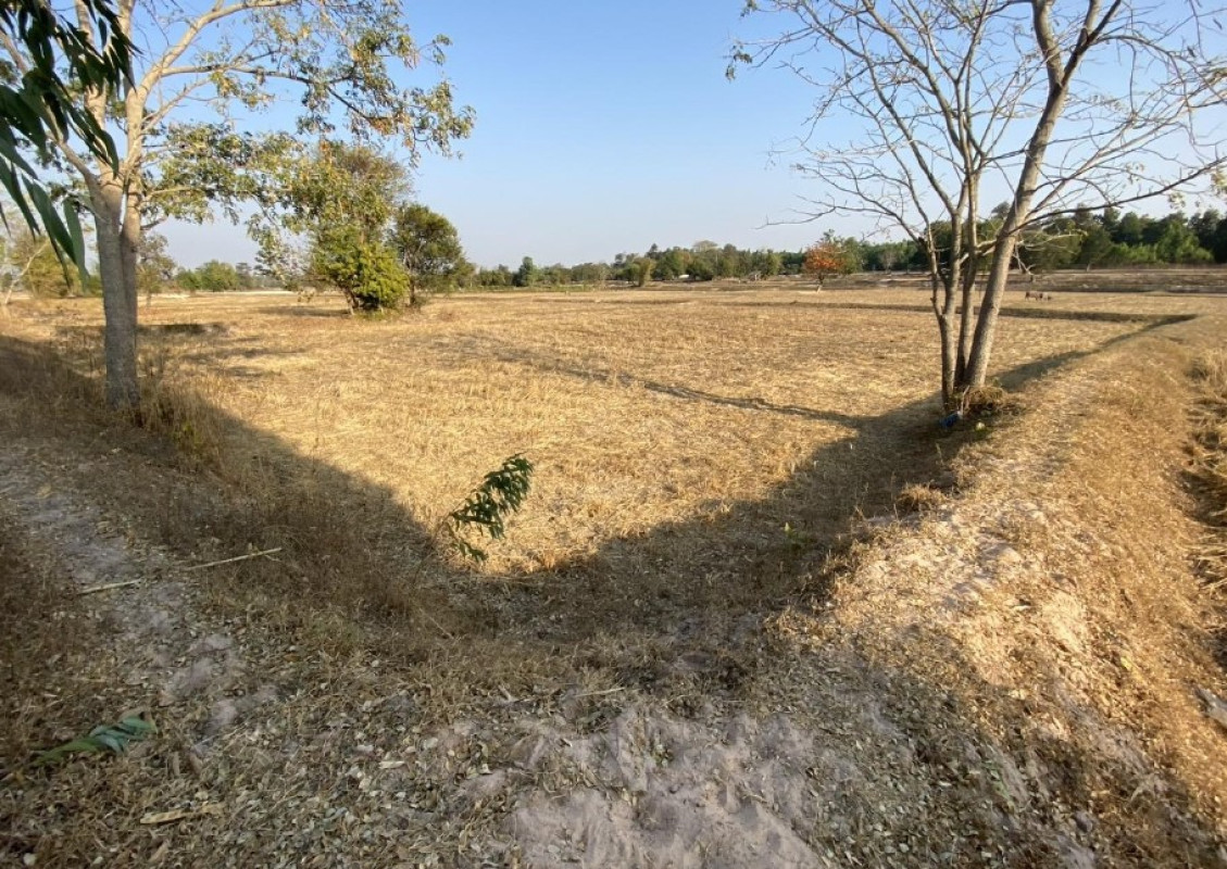 ที่ดินเปล่า มหาสารคาม เมืองมหาสารคาม โคกก่อ 111000
