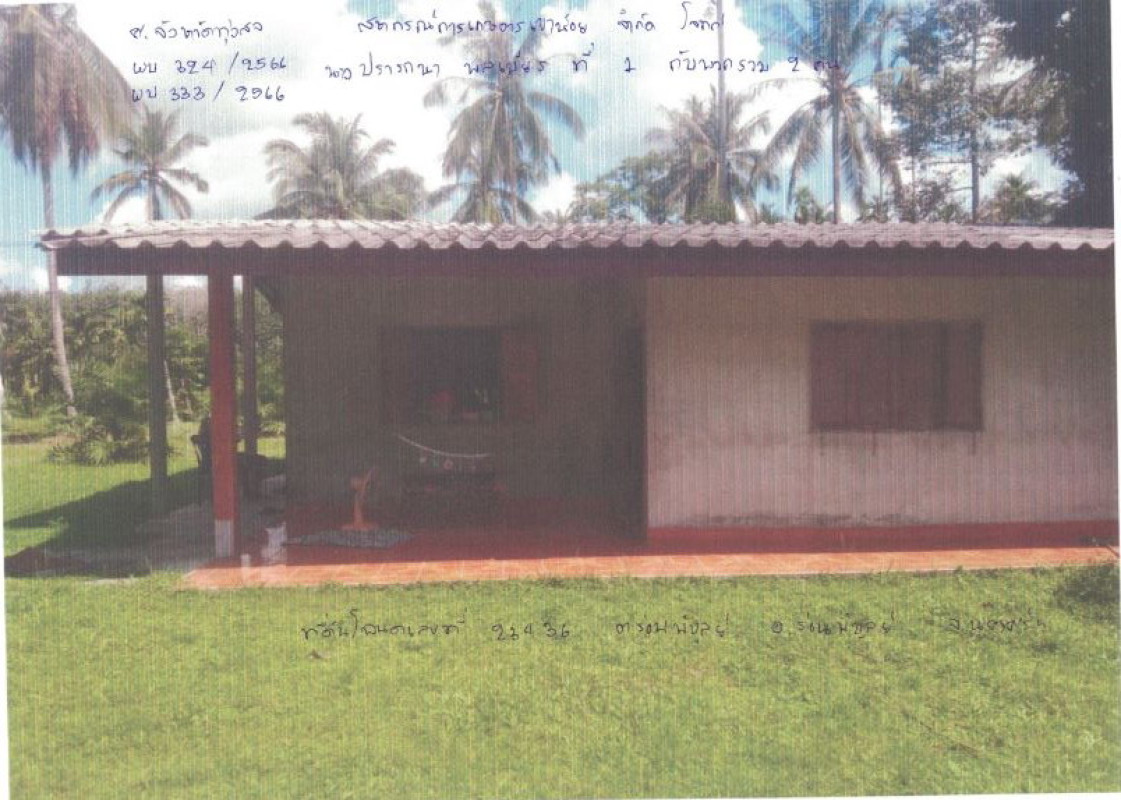 บ้านเดี่ยว นครศรีธรรมราช ร่อนพิบูลย์ ร่อนพิบูลย์ 1866012