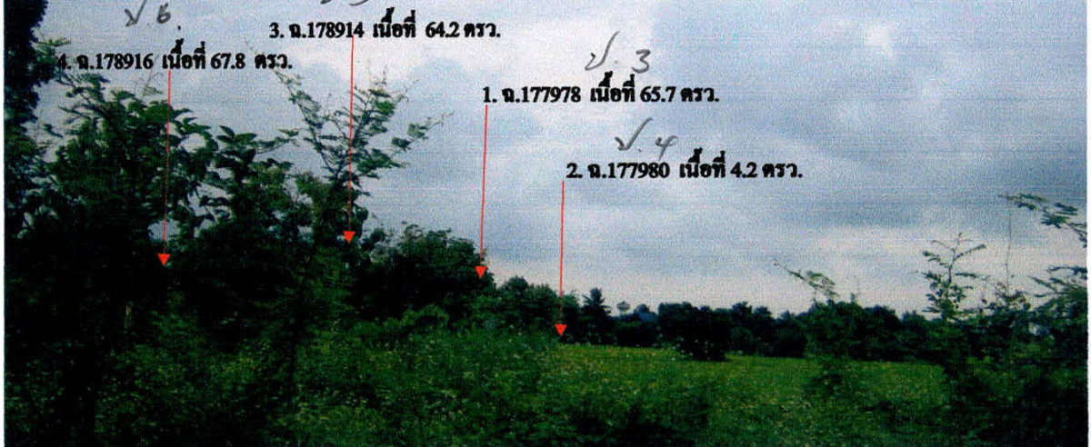ที่ดินเปล่า ลำปาง เมืองลำปาง ปงแสนทอง 1260