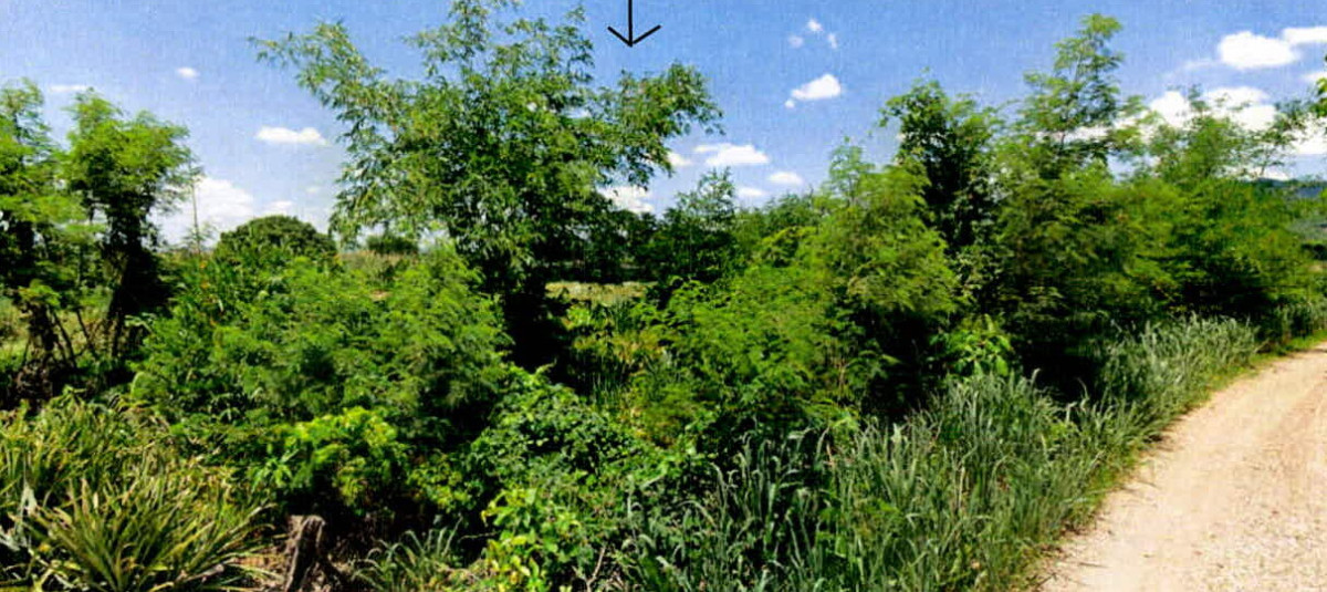 Residential land/lot Lampang Mueang Lampang Ban Sadet 299770