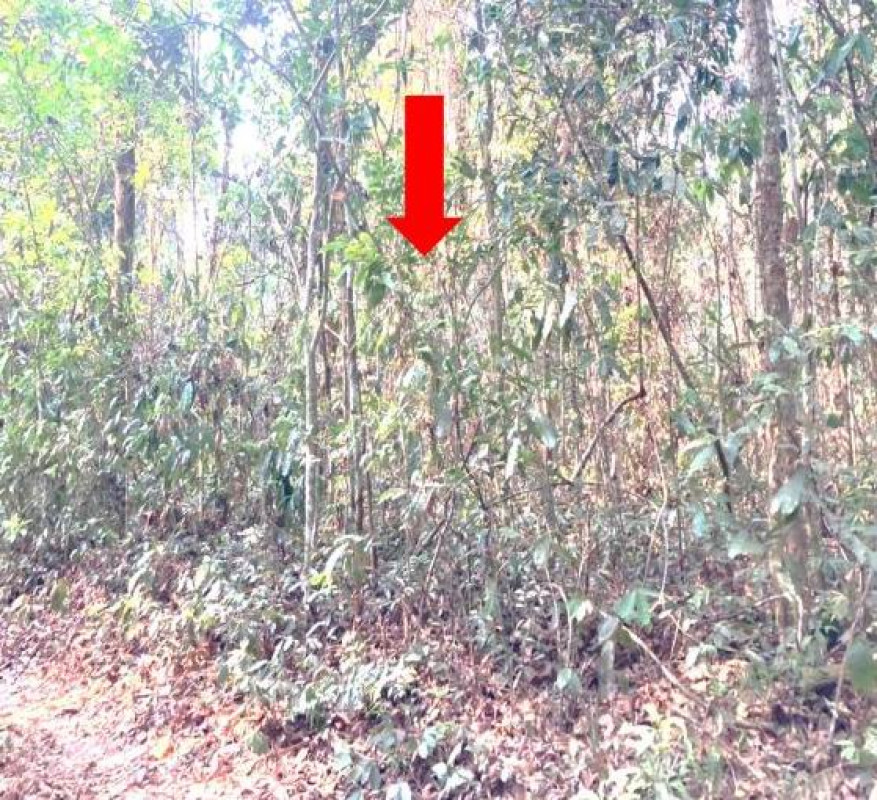 Residential land/lot Ubon Ratchathani Buntharik Huai Kha 759000