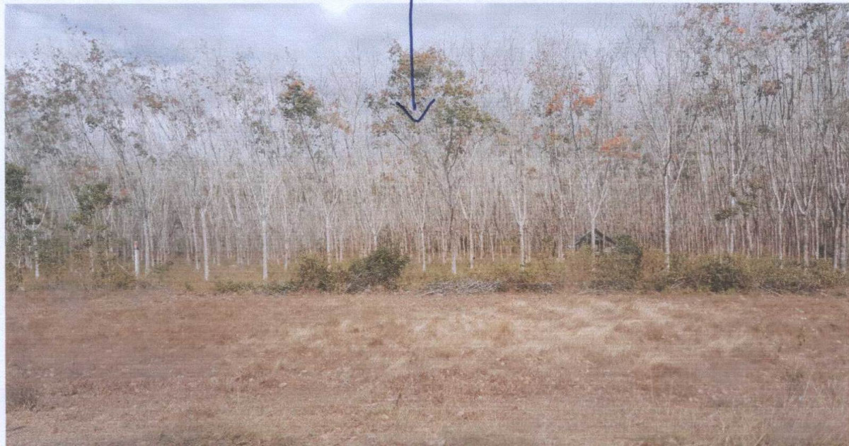 ที่ดินเปล่า สตูล ละงู ละงู 360126
