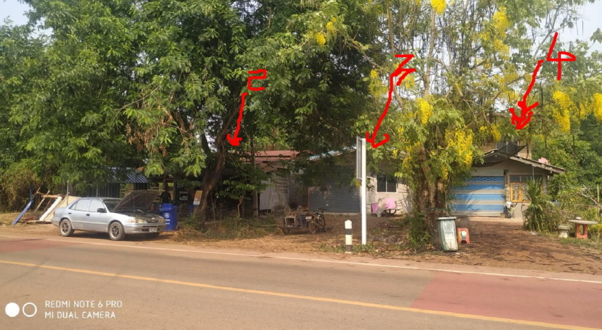 ที่ดินเปล่า สกลนคร เมืองสกลนคร โนนหอม 11300