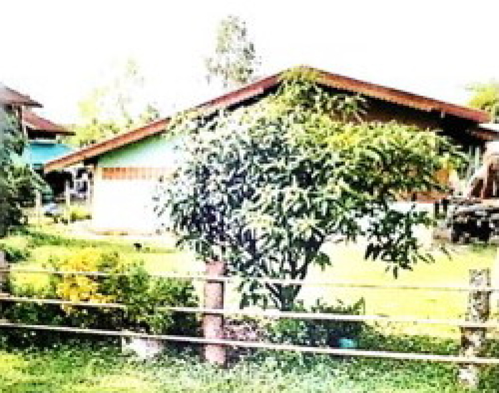 บ้านเดี่ยว นครพนม บ้านแพง หนองแวง 727722