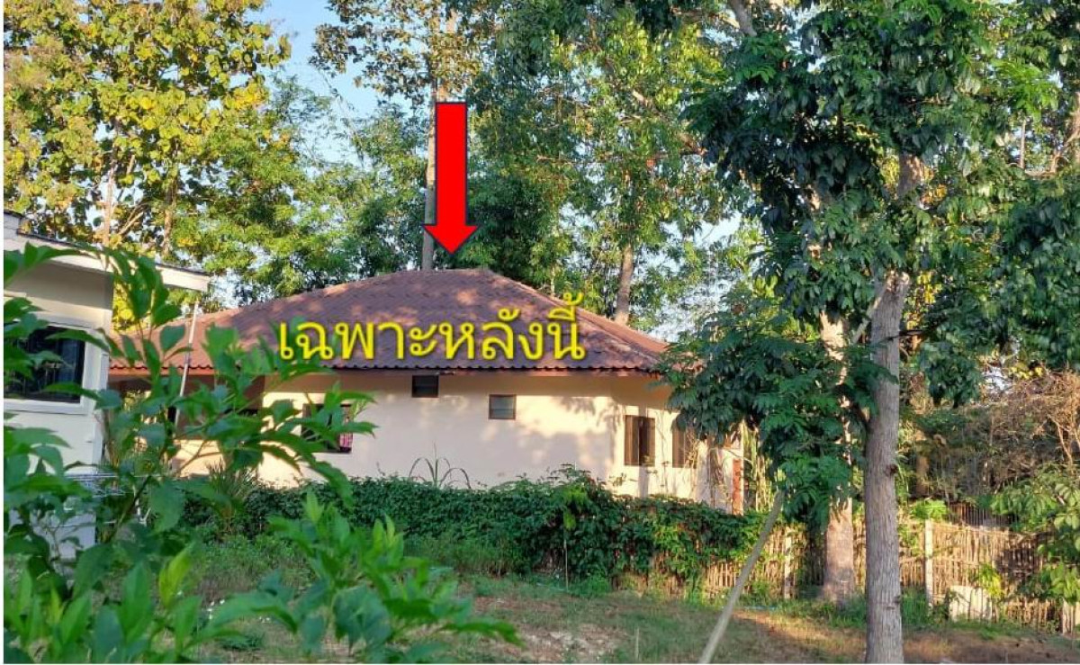 บ้านเดี่ยว เชียงใหม่ สันทราย ป่าไผ่ 1315968