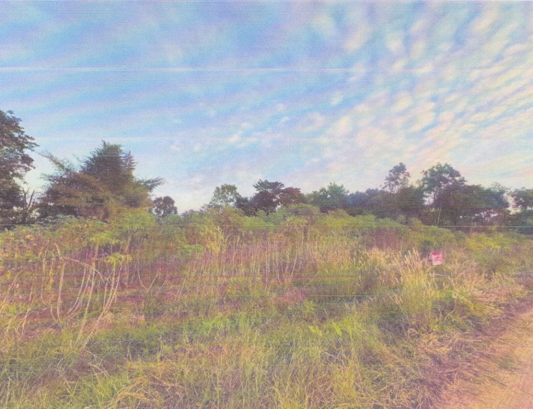 Residential land/lot Chaiyaphum Mueang Chaiyaphum Na Fai 172400