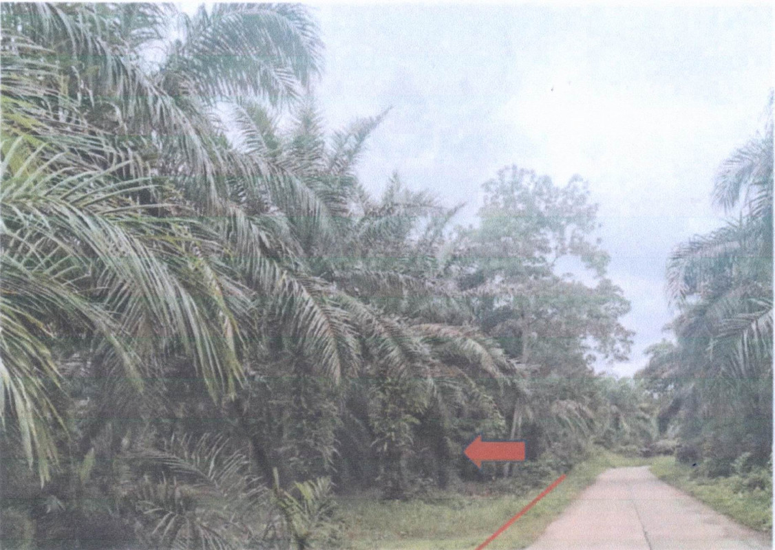 Residential land/lot Chumphon Tha Sae Sap Anan 1566540