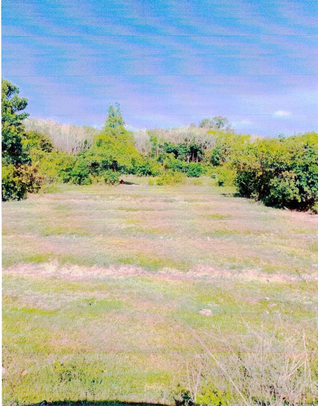 Residential land/lot Pattani Thung Yang Daeng Nam Dam 43425