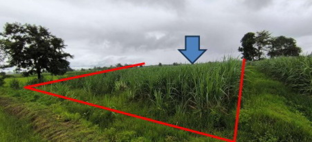 Residential land/lot Kalasin Huai Mek Hua Hin 550000