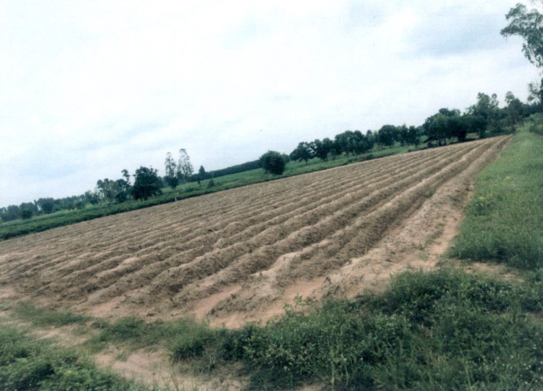Residential land/lot Kalasin Nong Kung Si Khok Khruea 710000