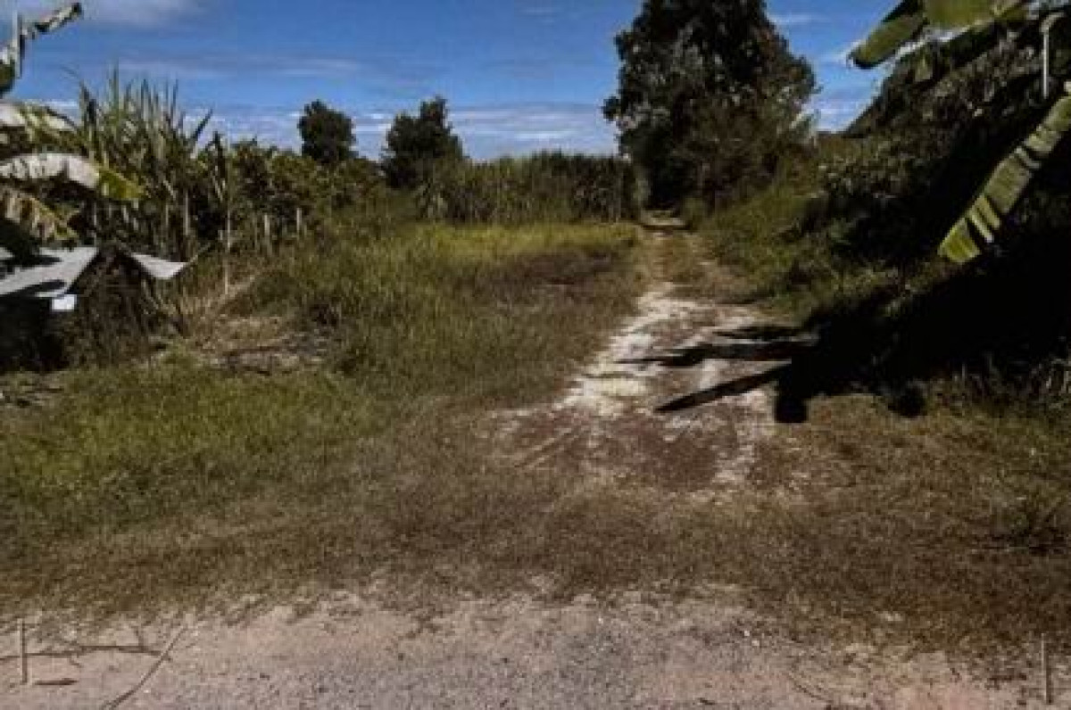 ที่ดินเปล่า กาฬสินธุ์ หนองกุงศรี หนองกุงศรี 2800000