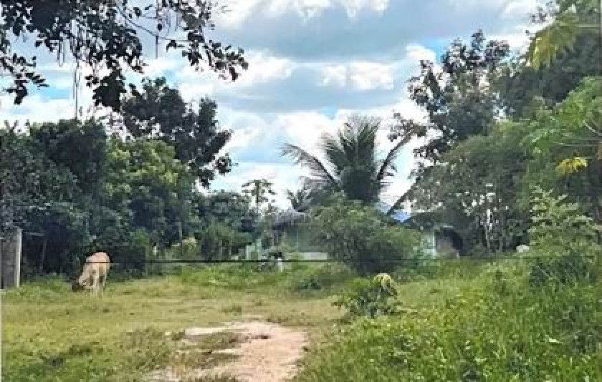 Residential land/lot Kalasin Nong Kung Si Khok Khruea 172500