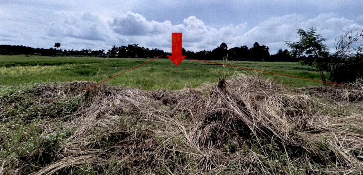 Residential land/lot Kalasin Nong Kung Si Khok Khruea 65000