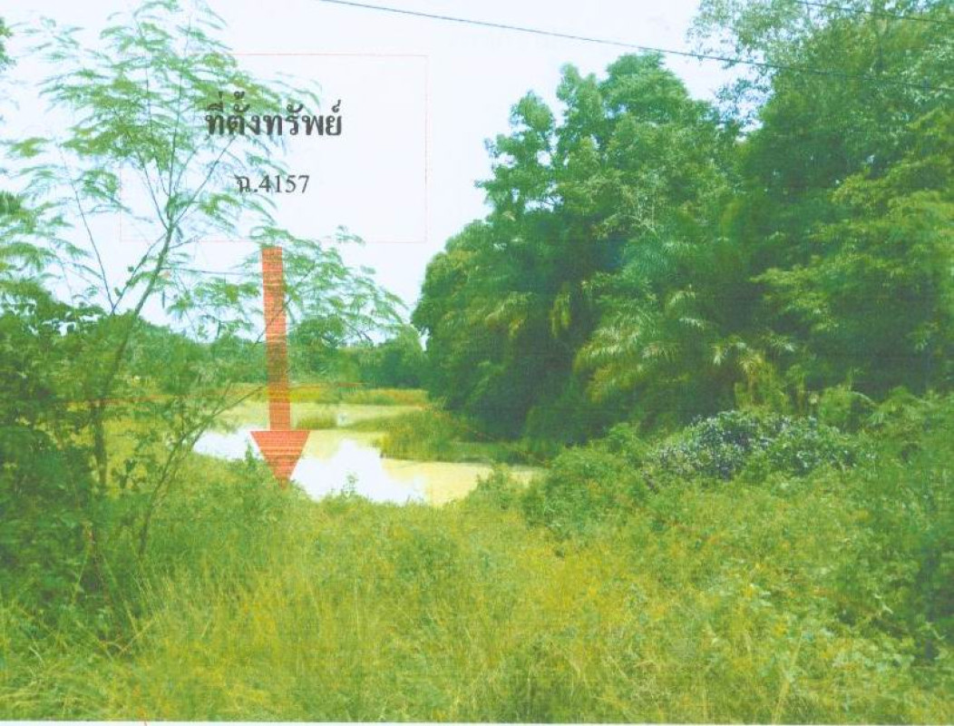 ที่ดินเปล่า นครศรีธรรมราช ชะอวด บ้านตูล 321555