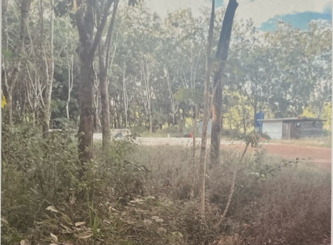 Residential land/lot Sakon Nakhon Sawang Daen Din Sawang Daen Din 473500