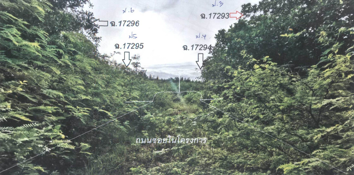 Residential land/lot Phetchaburi Ban Laem Laem Phak Bia 1200000