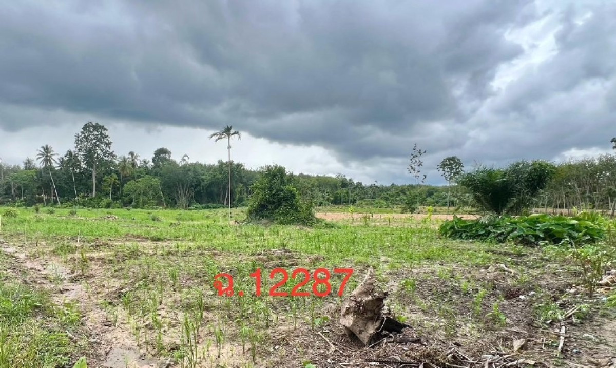 Residential land/lot Nakhon Si Thammarat Thung Song Khao Ro 119700