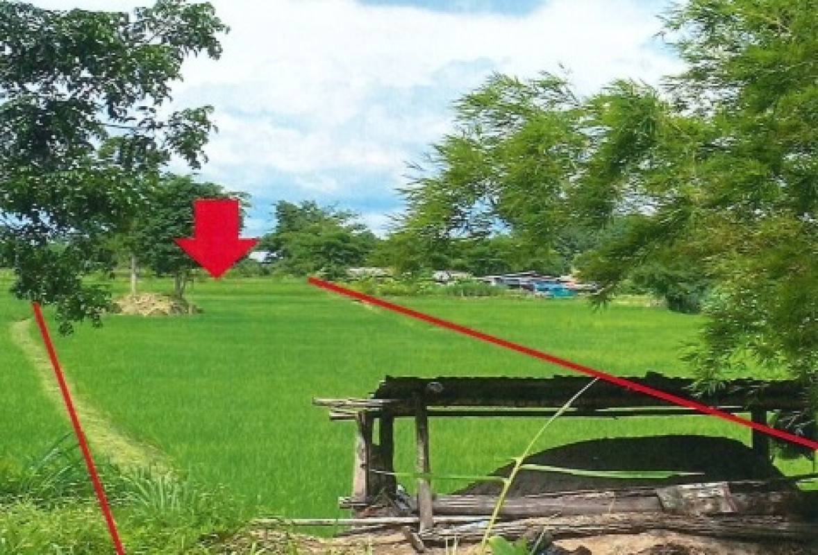 Residential land/lot Kalasin Nong Kung Si Nong Hin 219000